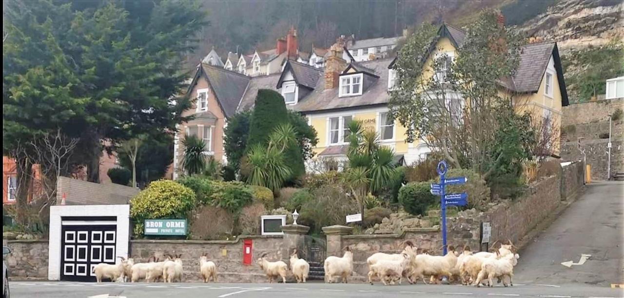 Bron Orme Private Hotel Llandudno Exterior photo